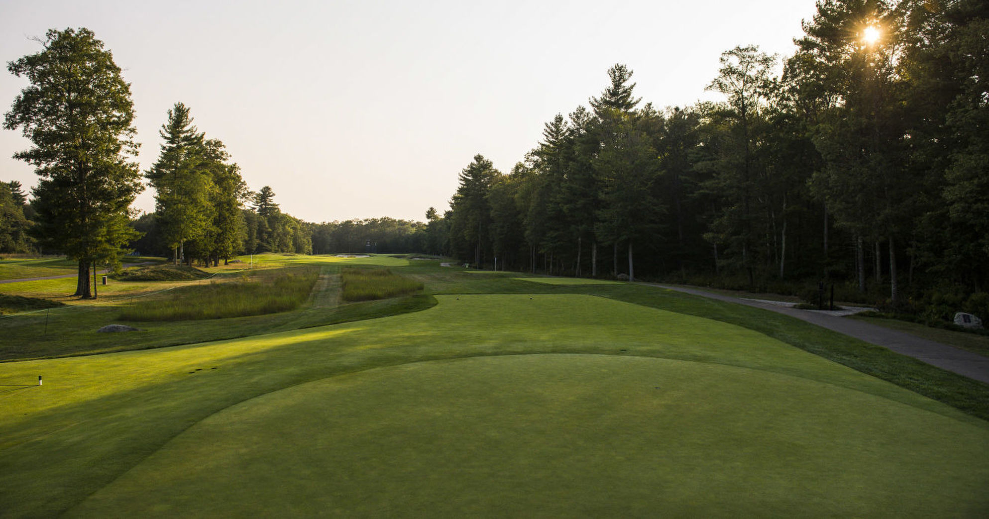 TPC 16th Hole